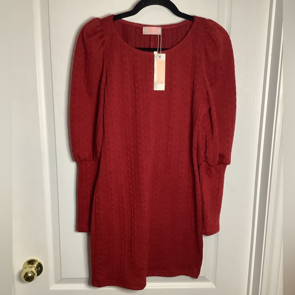 NWT C+D+M sweater dress with puffy sleeves